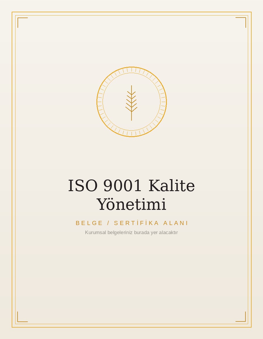 ISO 9001